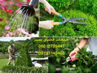 خدمات نگهداری فضای سبز روبینیا گاردن