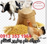 خوراک دام و طیور و ابزیان * کویر دانه یزد