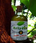 -گیاهی-اکالیپتوس-اصل-صددرصد-طبیعی-آریا-Ariyaoil-min