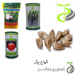 بذرهاي اصلاح شده