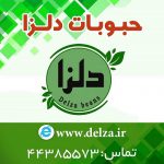 حبوبات ایرانی دلزا در بسته بندی 900 گرمی