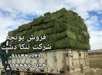 فروش یونجه خوراک دام