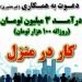 در آمد بالا در خانه