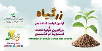 تولید کننده انواع گیاهان دارویی