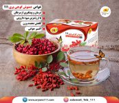 دمنوش گوجی بری 111