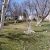 1000 متر باغ ویلای مشجر در شهریار - تصویر2