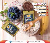 میوه  بلوبری  111