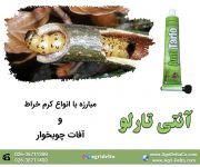 فروش خمیر آنتی تارلو