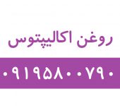 اکالیپتوس12