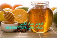 فروش عمده عسل انگبین