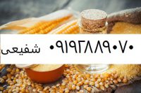 فروش روغن ذرت تصفیه شده