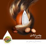 روغن گیری در شیراز