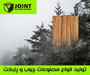 پارکت جوینت | Joint