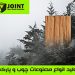 پارکت جوینت | Joint