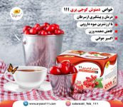 دمنوش گوجی بری111