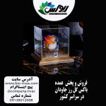 گل رز جاودان با کمترین قیمت