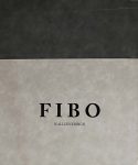 آلبوم کاغذ دیواری فیبو FIBO