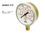 Pressure Gauge Series: P15