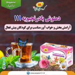 9دمنوش-بادرنجبویه