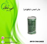 کاشت بذر چمن دایکوندرا ، بذر چمن دایکوندرا