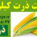 قیمت ذرت کیلویی عادل