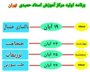 دوره‌های آموزشی پاکسازی و فشیال پوست