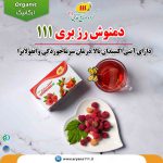 9دمنوش-رز-بری