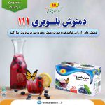 11دمنوش-بلوبری