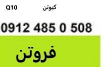 فروش و تامین کننده کیوتن