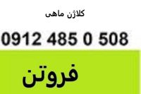 فروش و توزیع کلاژن ماهی