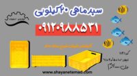 سبد و باسکت ماهی و میگو