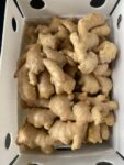 واردات و فروش زنجبیل (Ginger) بصورت تناژ