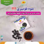 19میوه-بلوبری