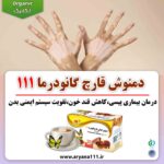 15دمنوش-قارچ-گانودرما