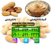 کانال فروش عمده مواد غذایی زیر قیمت