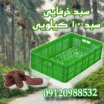 سبد خرما/سبد پلاستیکی کف بسته/سبد ماهی