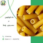 رنگ زرد کورکومین برای ماکارونی