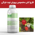 خرید سم قارچ‌کش فنومنال، بهترین انتخاب برای مراقبت از توت‌فرنگی‌