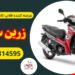 عرضه فلاپ کامل انواع بی کلاج