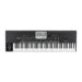 ارتقاء کیبورد (ارگ) Korg Micro Arranger – Korg pa600