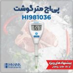 اسیدسنج گوشت مدل قلمی هانا HANNA HI981036