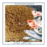 sayadanjavanjask_company-۲۰۲۵۰۱۱۰-0054